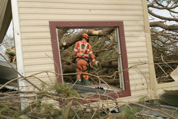 Reliable Catalina, AZ Tree Removal Solutions